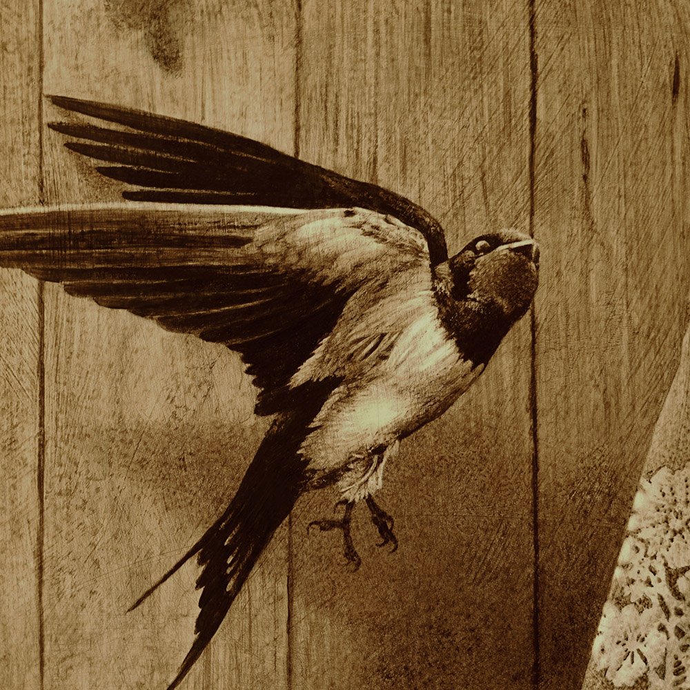 oil-painting-swallow2-andrew-mortimer.jpg
