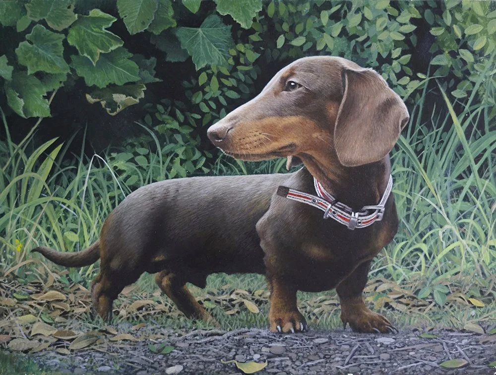 Commission a painting by Andrew Mortimer.
