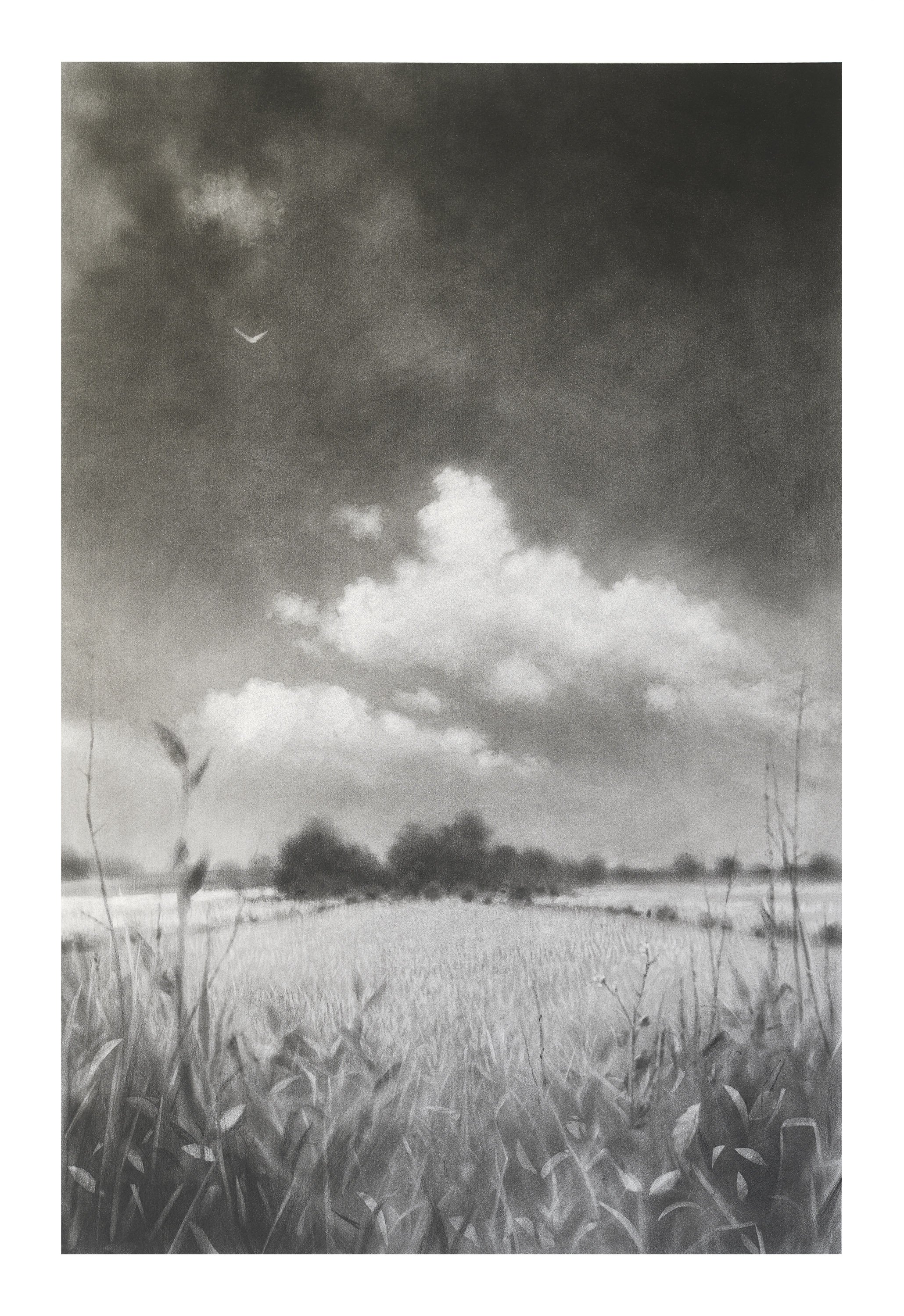 charcoal-drawing-of-clouds_andrew mortimer_3.jpg