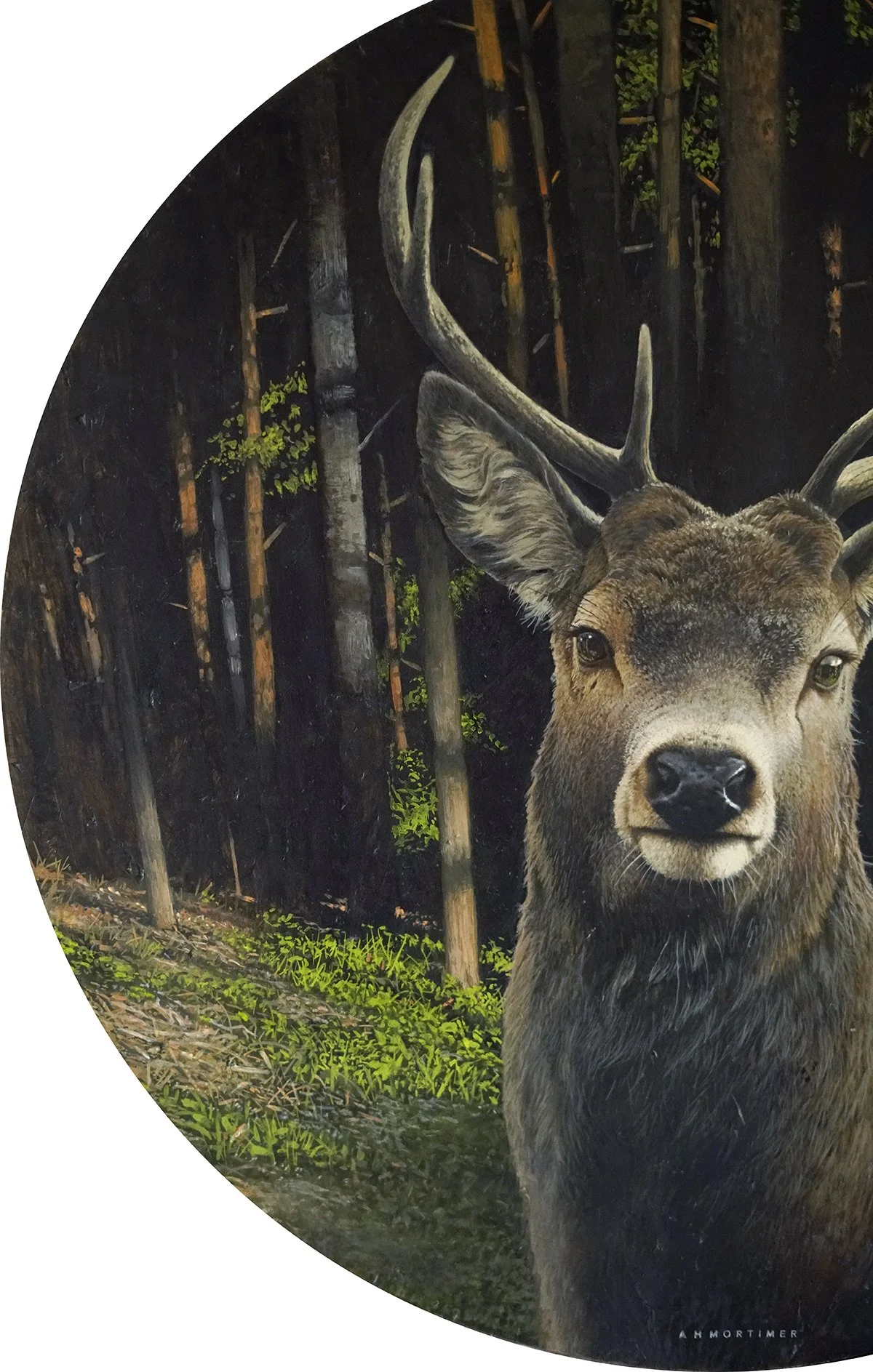 oil-paintingby-andrew-mortimer_c3.jpg