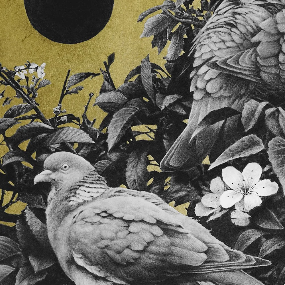 Dies lunae_det2_charcoal-artwork-andrew-mortimer.jpg (Copy)