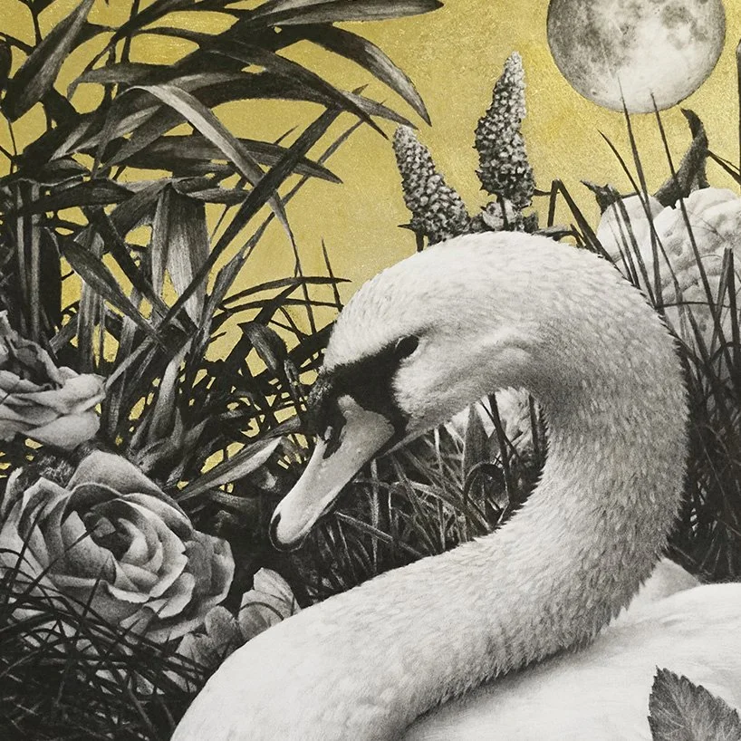 Olor animo_det1_charcoal-artwork-andrew-mortimer.jpg