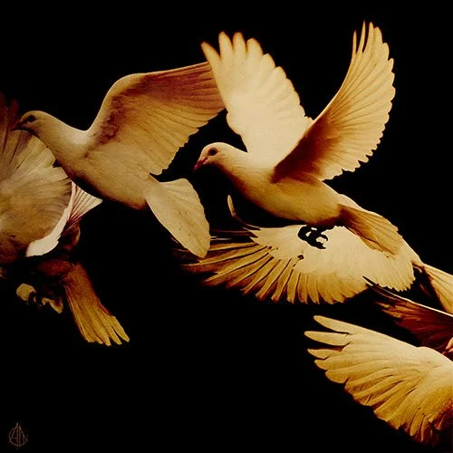 A collection of gold leaf artwork by a contemporary British artist. Andrew Mortimer - Gold Leaf Artist