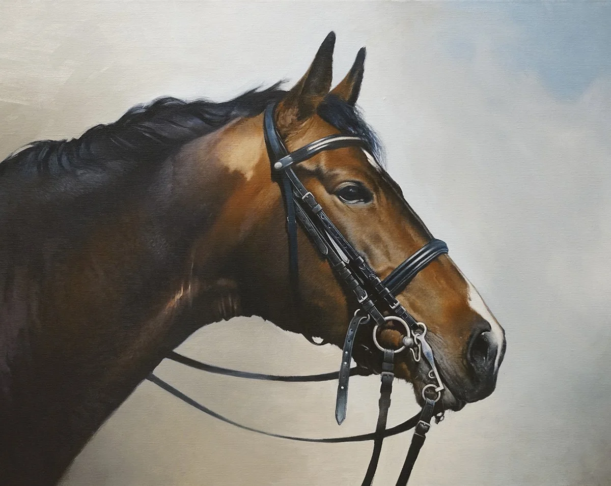 Oil painting of a horse by Contemporary British artist, Andrew Mortimer