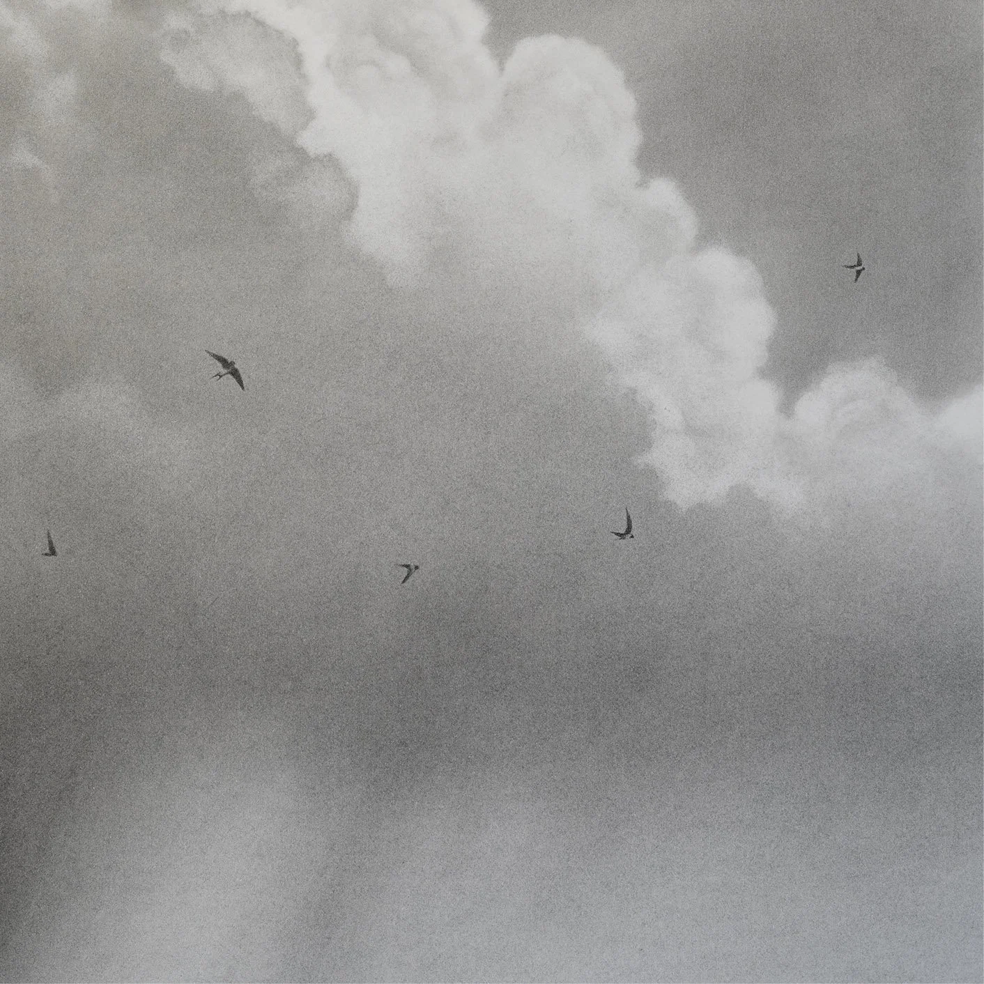charcoal-drawing-of-clouds_andrew mortimer_det2.jpg