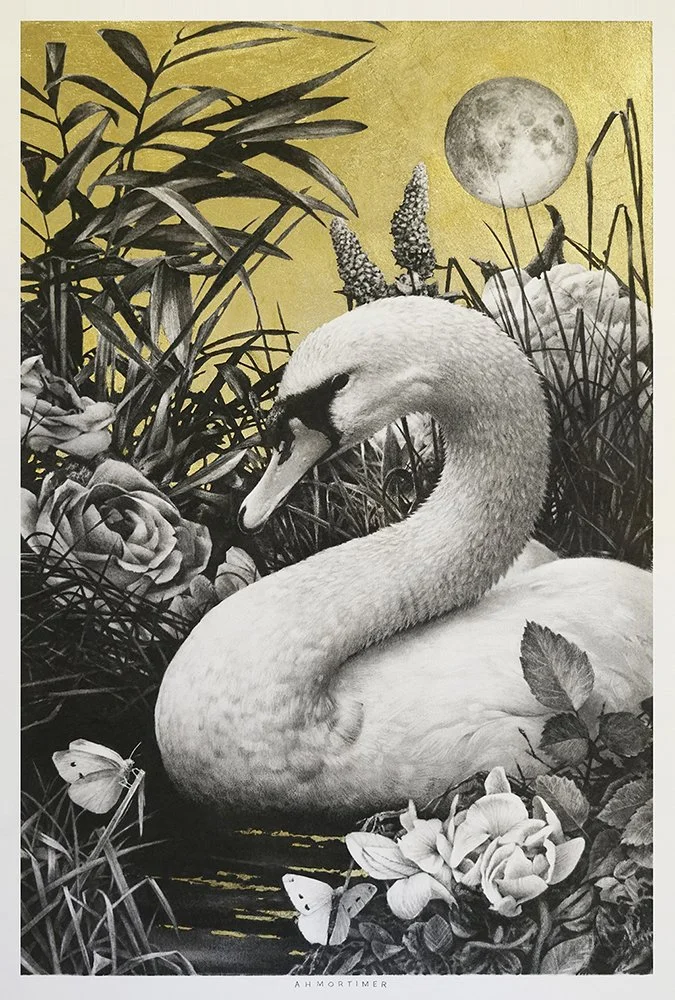 Olor animo_det2_charcoal-artwork-andrew-mortimer.jpg