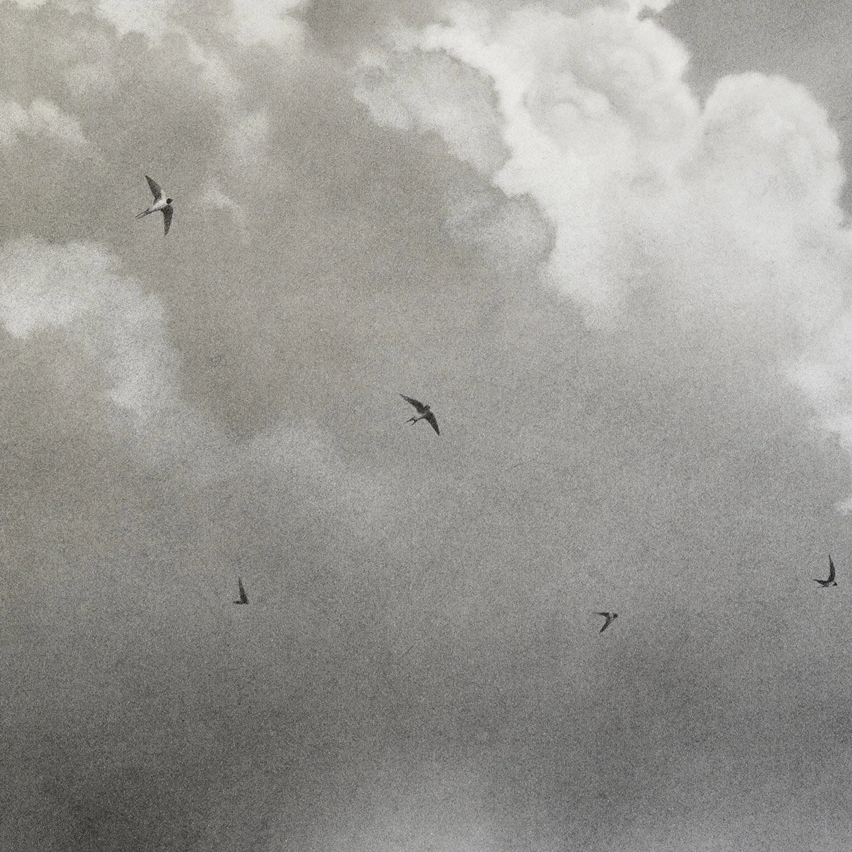 charcoal-drawing-of-clouds_andrew mortimer_det2.jpg