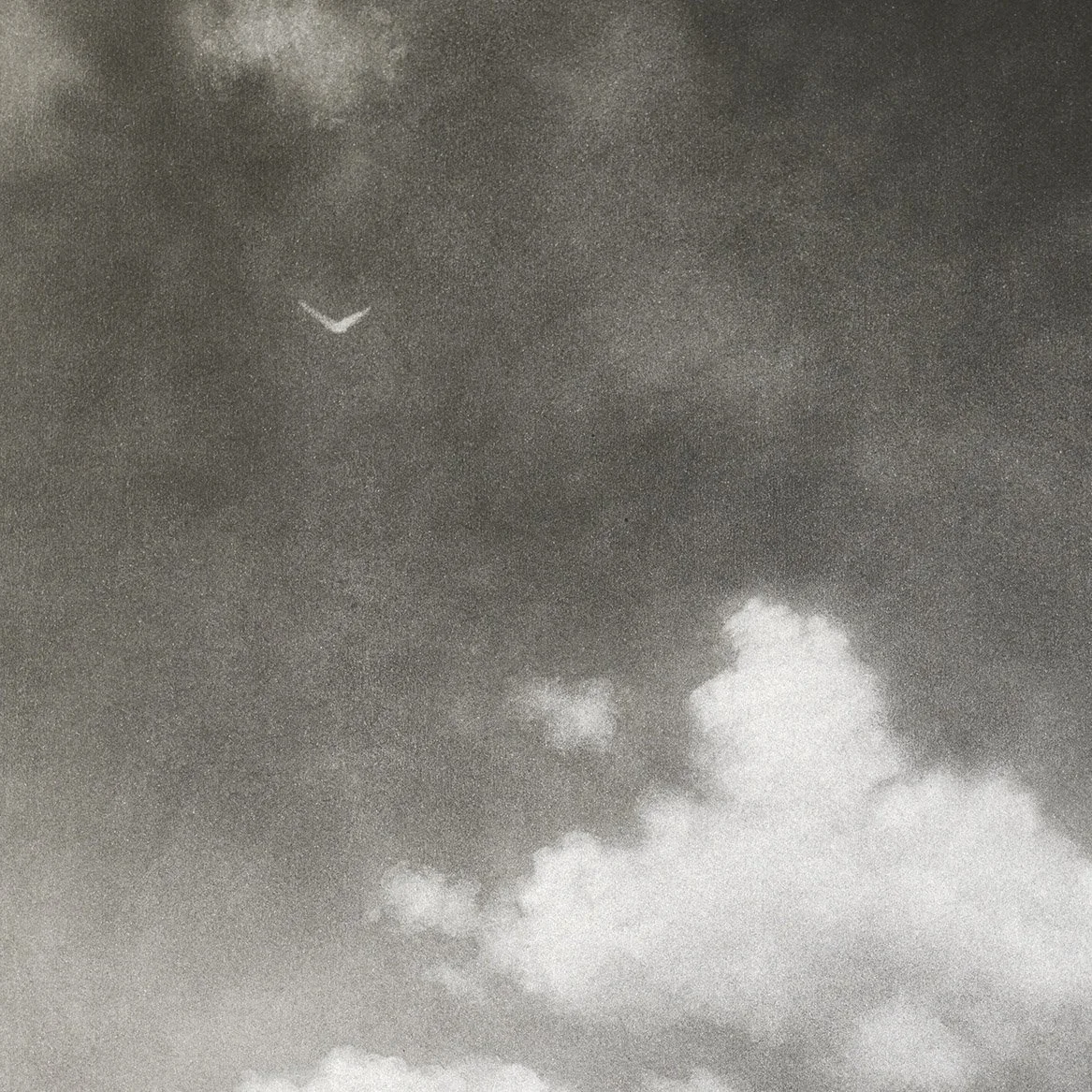 charcoal-drawing-of-clouds_andrew mortimer_det3.jpg
