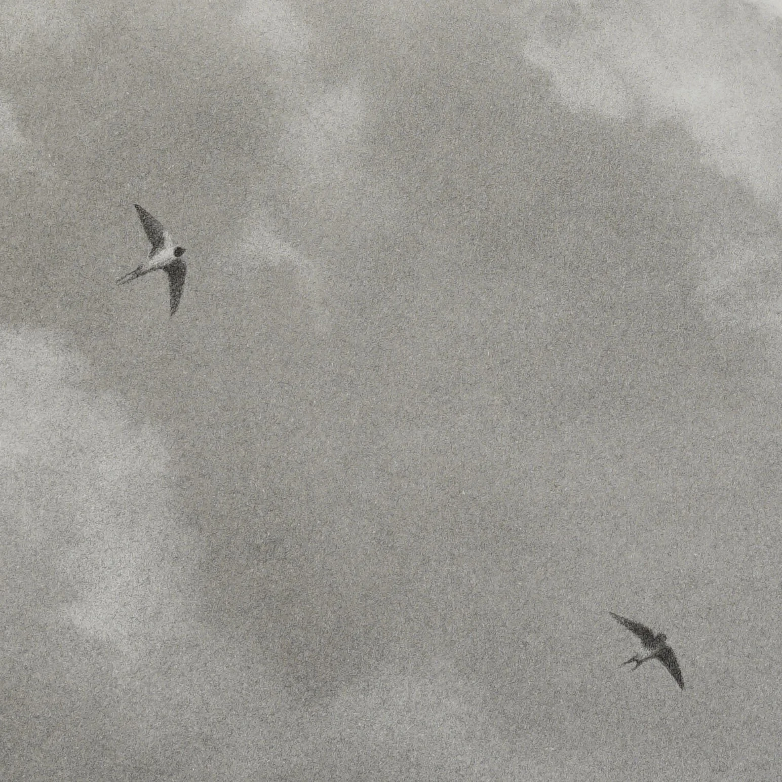 charcoal-drawing-of-clouds_andrew mortimer_det6.jpg
