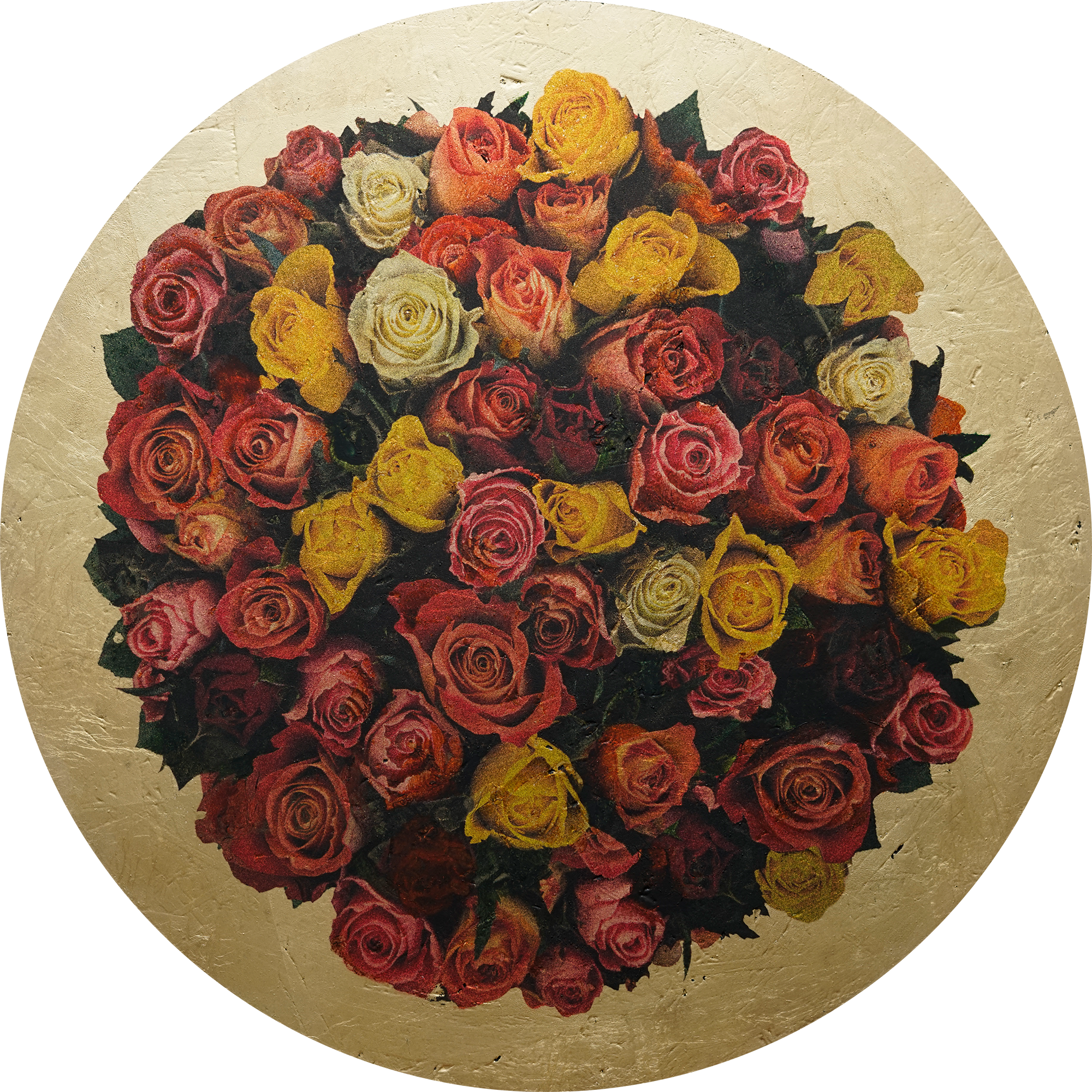 rosa anulus 1d sml.png