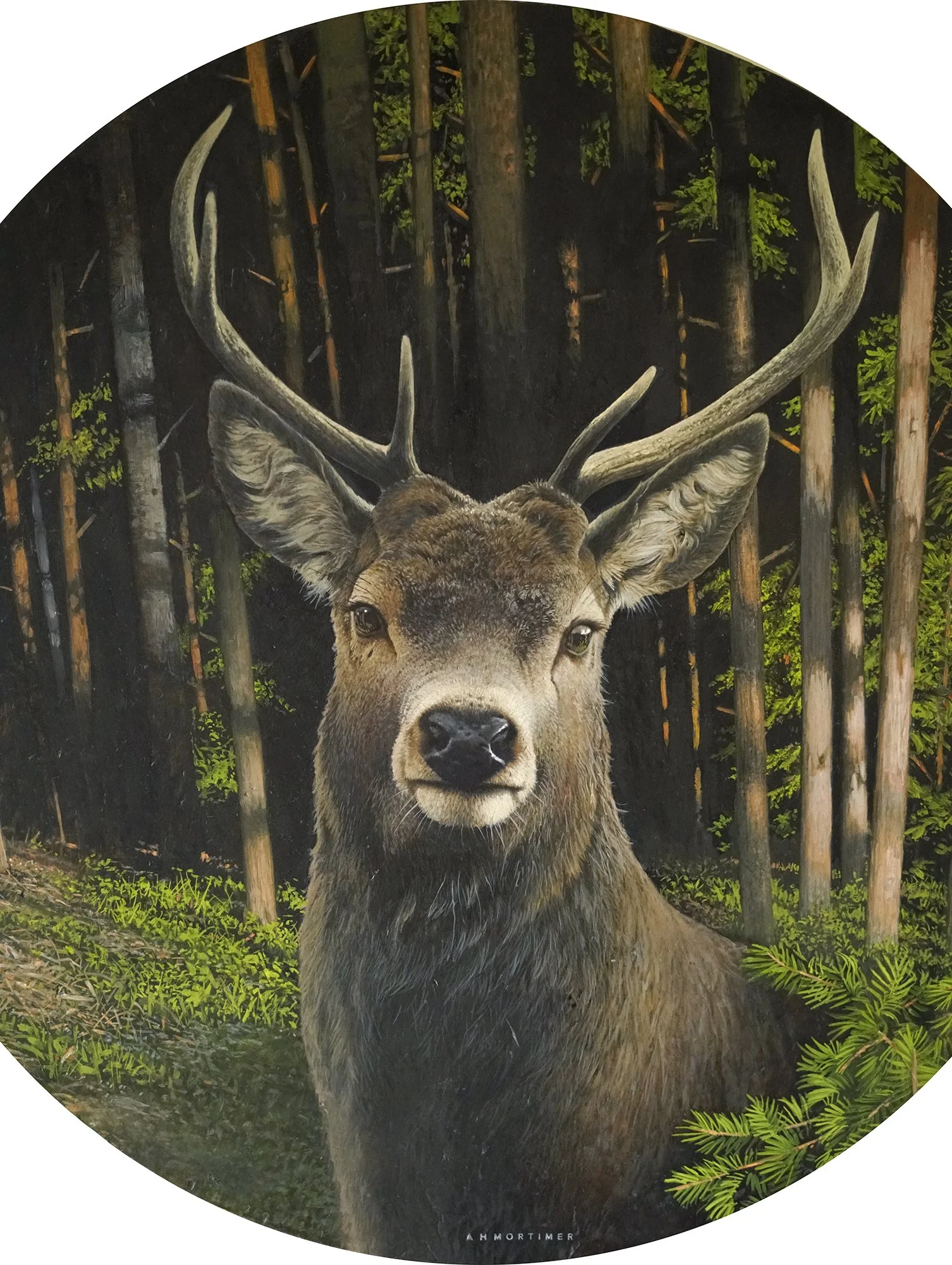 oil-paintingby-andrew-mortimer_c2.jpg