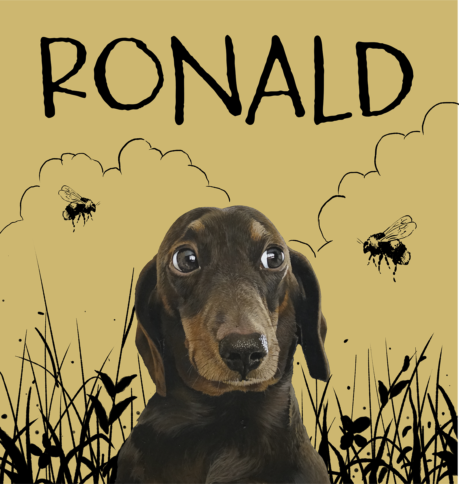 A dachshund puppy with a dark brown and tan coat set against a cartoon-style background with bees and grass, and the name 'Ronald' written at the top.