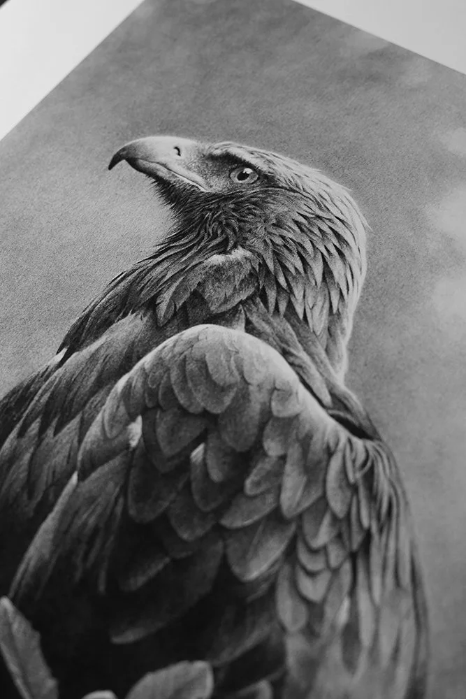 Memor aquilae_det4_charcoal-artwork-andrew-mortimer.jpg