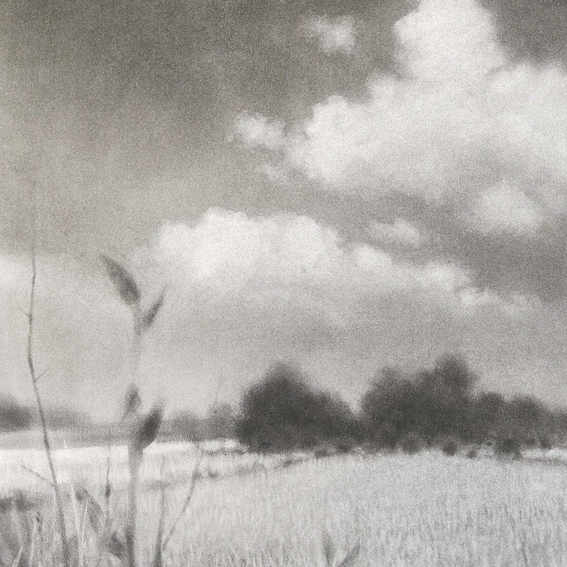 charcoal-drawing-of-clouds_andrew mortimer_det4.jpg