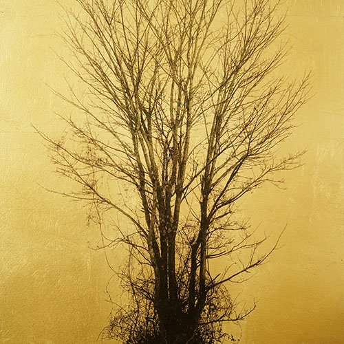 A collection of gold leaf artwork by a contemporary British artist. Andrew Mortimer - Gold Leaf Artist