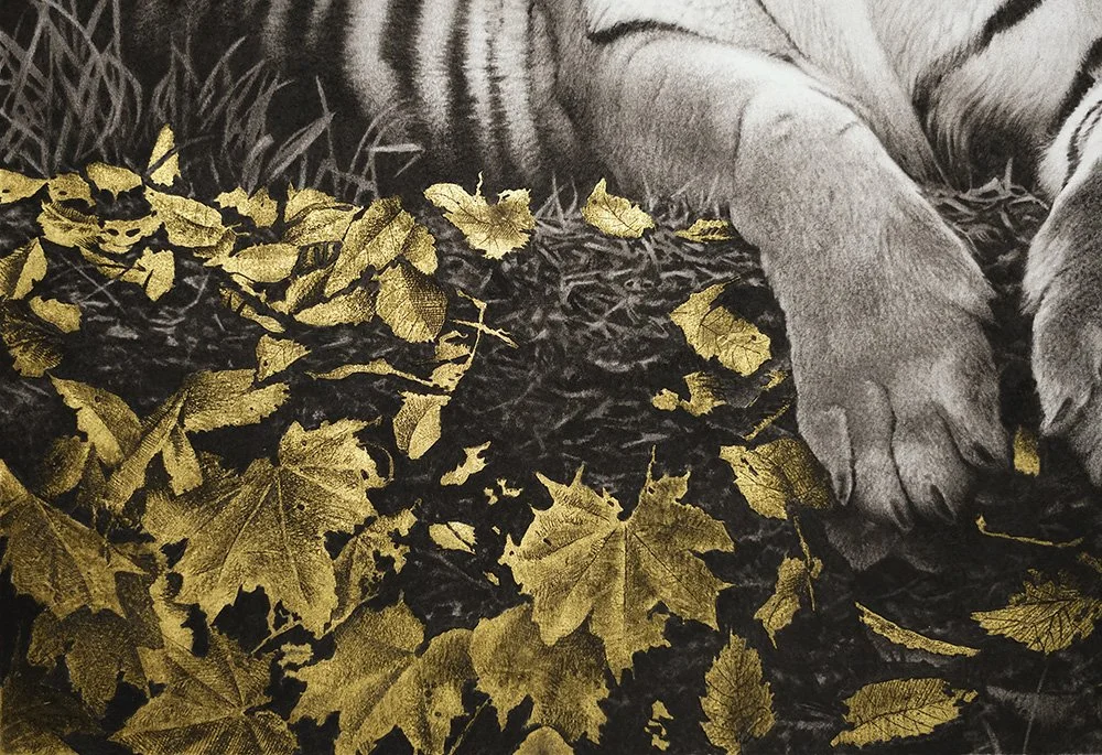 Veritas naturae_det3_charcoal-artwork-andrew-mortimer.jpg