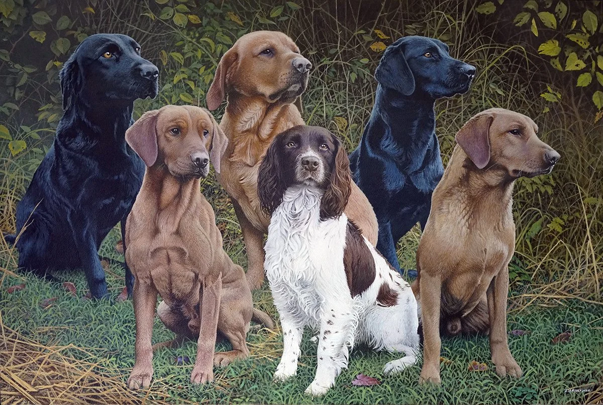 Group oil painting of working dogs by contemporary British artist Andrew Mortimer - Gold Leaf Artist