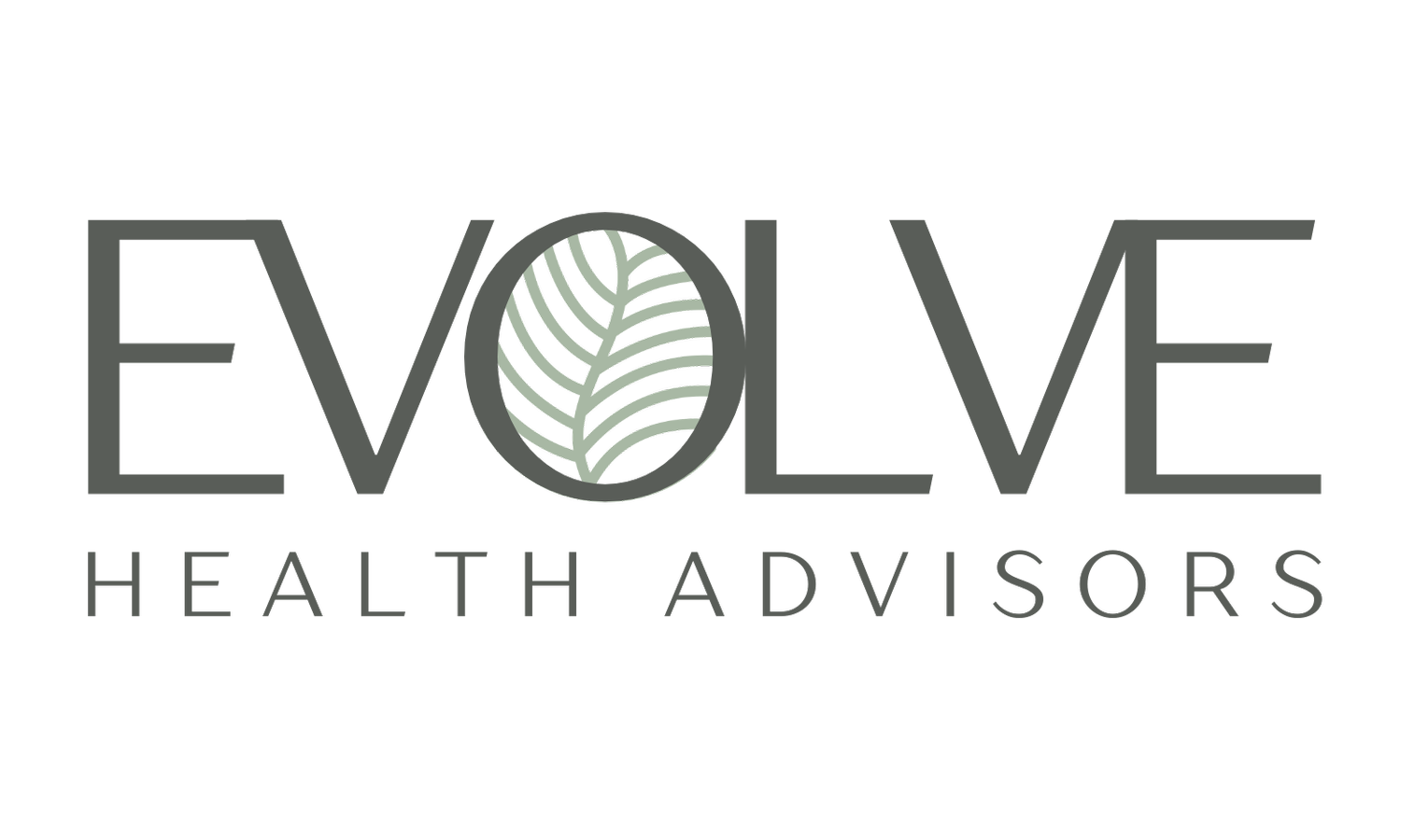 Evolve Health Advisors LLC