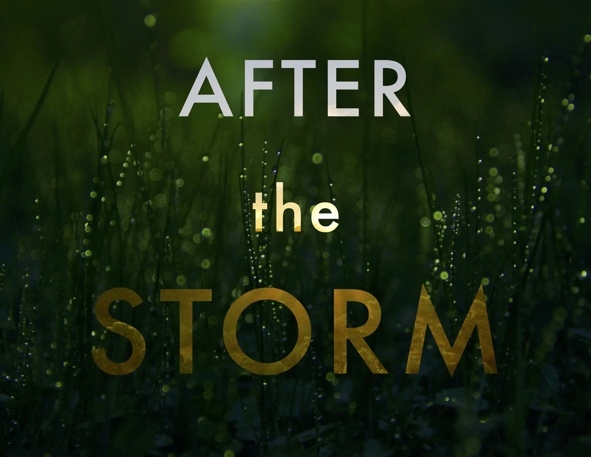 After the Storm