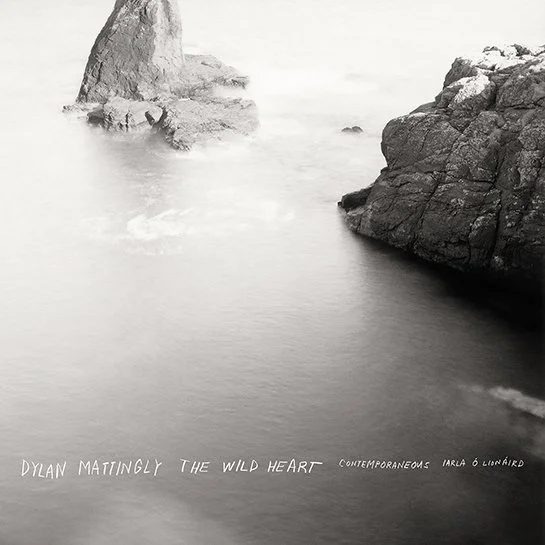 The Wild Heart by Dylan Mattingly