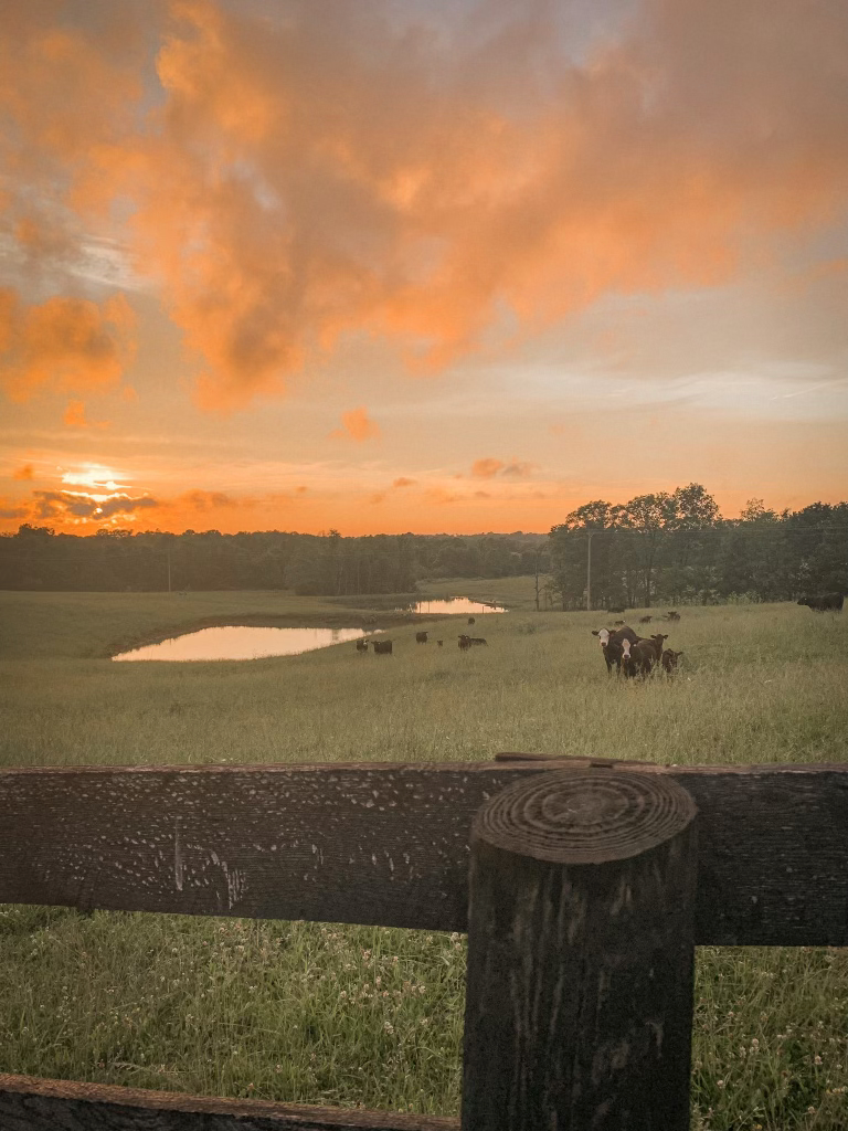 Brown Acres Grass Fed & Finished Beef Cynthiana, KY