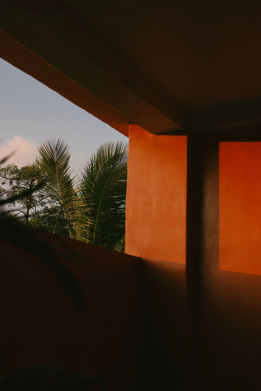 A view through a partially open window showing a palm tree against a sky with clouds, with the window frame casting shadows on a warm-colored wall — Casa Tikiri, Ahangama, Sri Lanka