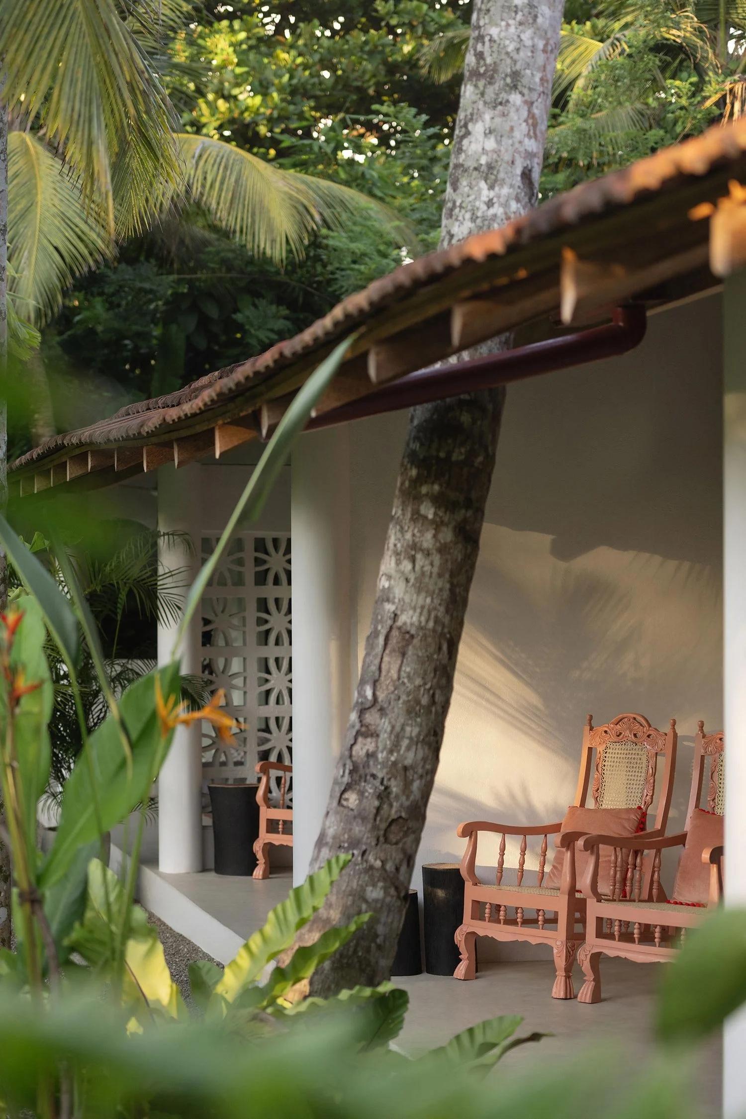 Outdoor patio with pink wooden chairs surrounded by lush green plants — Casa Tikiri Boutique Hotel, Ahangama, Sri Lanka