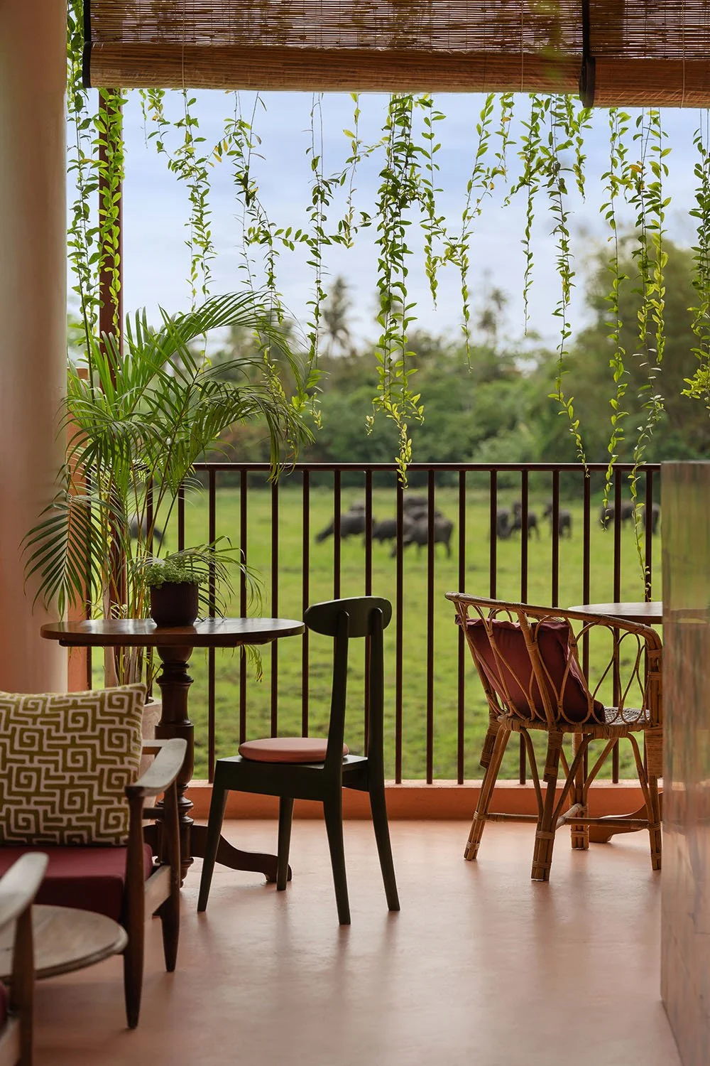1500-casa-tikiri-paddy-lodge-cafe-ahangama-sri-lanka_011.jpg