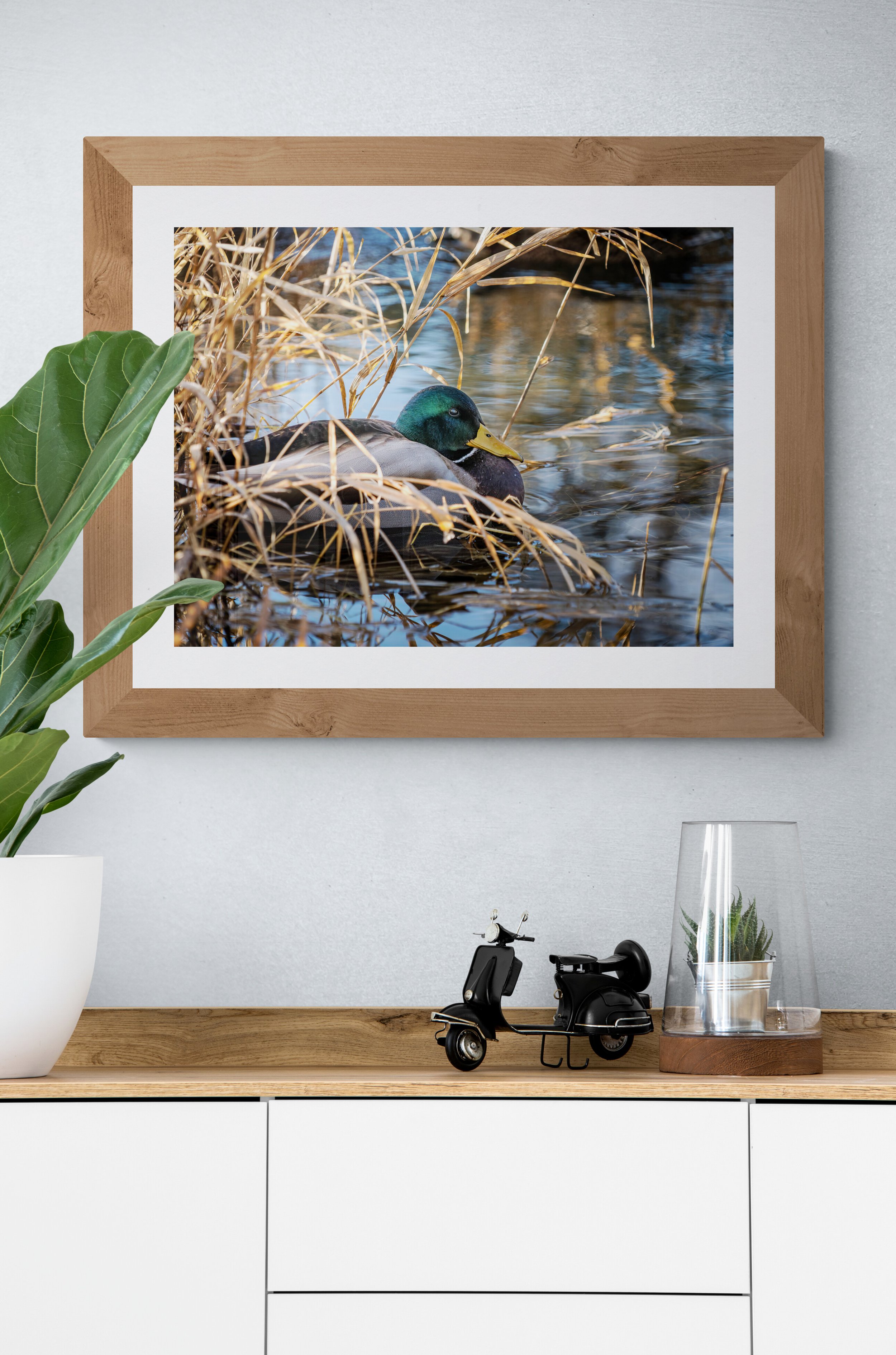 Cabinet_with_plants_and_model_scooter.jpg