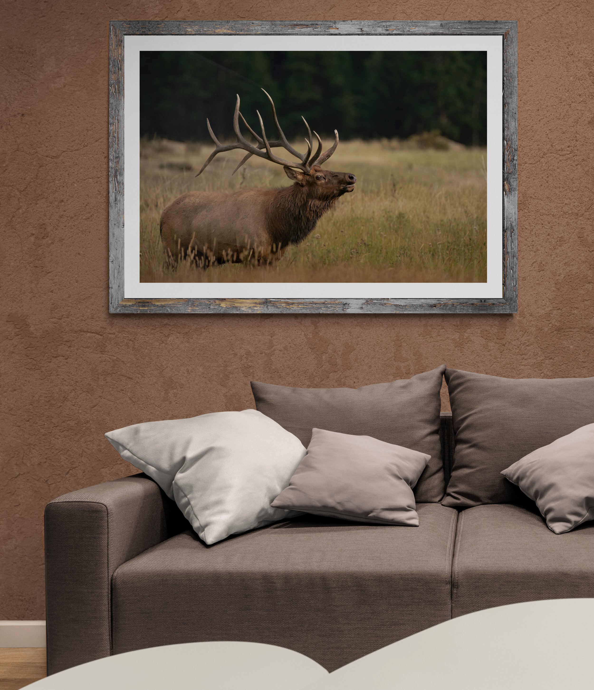 Relaxing_living_room_with_sofa_and_tables.jpg
