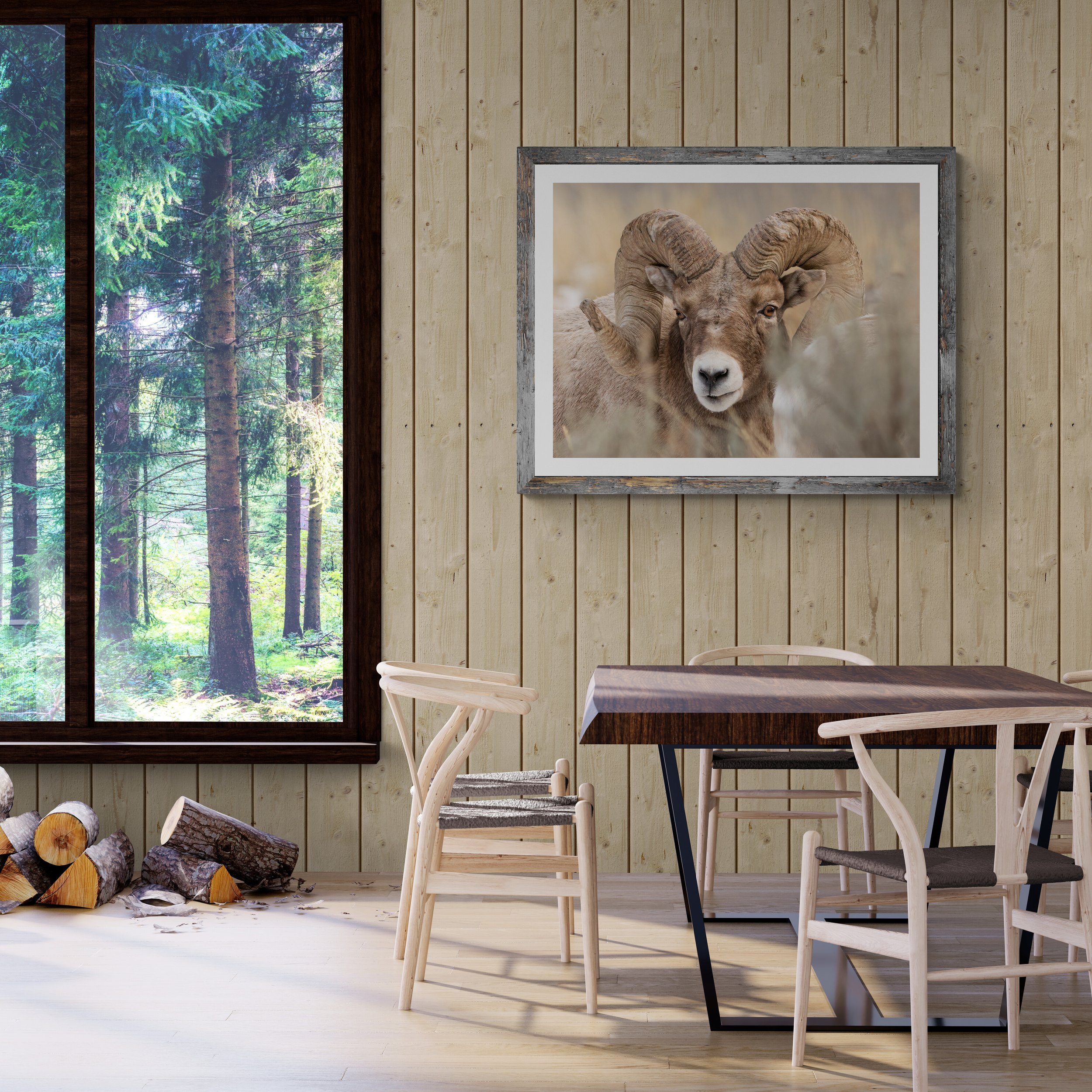 Dining_room_with_forest_views.jpg