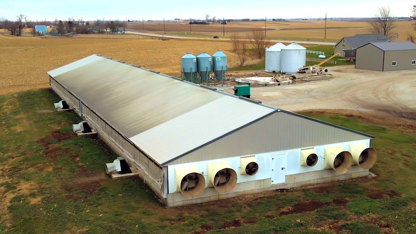 a CAFO, or Concentrated Animal Feeding Operations are home to Iowa&rsquo;s hogs. Manure from these factory farms is pumped out and applied to corn that is used as hog feed &amp; ethanol. The manure is overapplied and leaks into Iowa&rsquo;s waterways