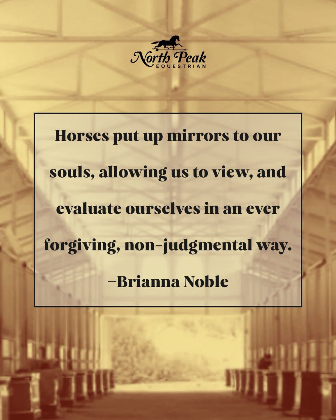 Horses put up mirrors to our souls, allowing us to view, and evaluate ourselves in an ever forgiving, non-judgmental way. -Brianna Noble
.
.
.
#northpeakequestrian 
#MartinLutherKingJrDay 
#horses 
#equestrianlife
