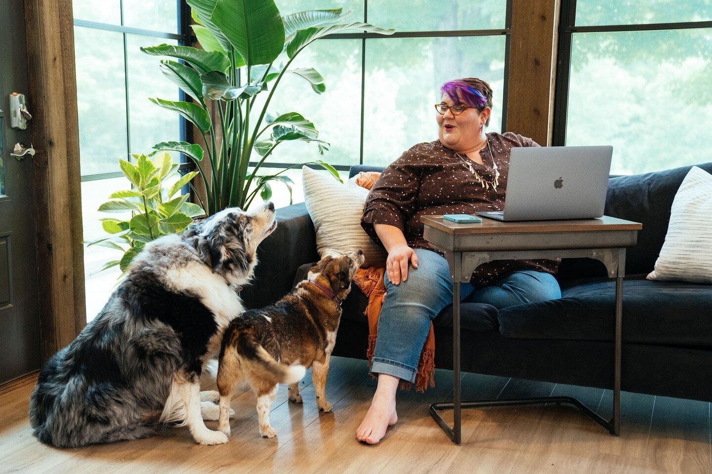 Here's an inside look at a staff meeting. As per usual, Bogie has the floor...literally and vocally. ⁠
⁠
Our sunroom serves as an alternate &quot;office&quot; on beautiful days like today. Getting a change of scenery supports my creativity. I also re