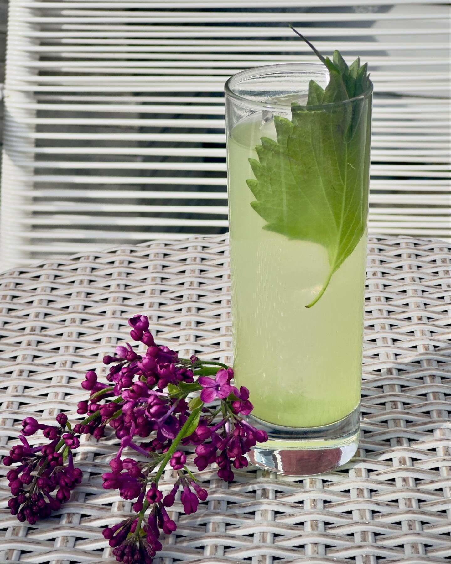 It&rsquo;s a perfect patio pounder kinda day!  She&rsquo;s so Lovely-cachaca, dry vermouth, cucumber, yuzu, shiso, gorgeous spear by @twinlakesiceco! Come pound &lsquo;em! #hudsonny #cocktailbar #patiopounder #outdoordrinking #wherespiritsarelifted