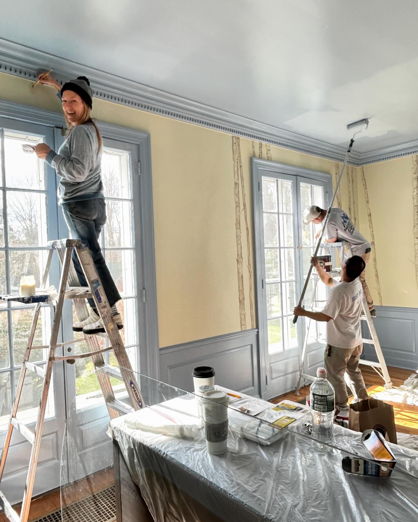 I so appreciate nature on these walls, the warm sunlight beaming in and my amazing/talented team during this work in progress. 🎨 #dcathe203project #darien #interiordesign #diningroom @cottagesgardens @dariendca @lorileckliter