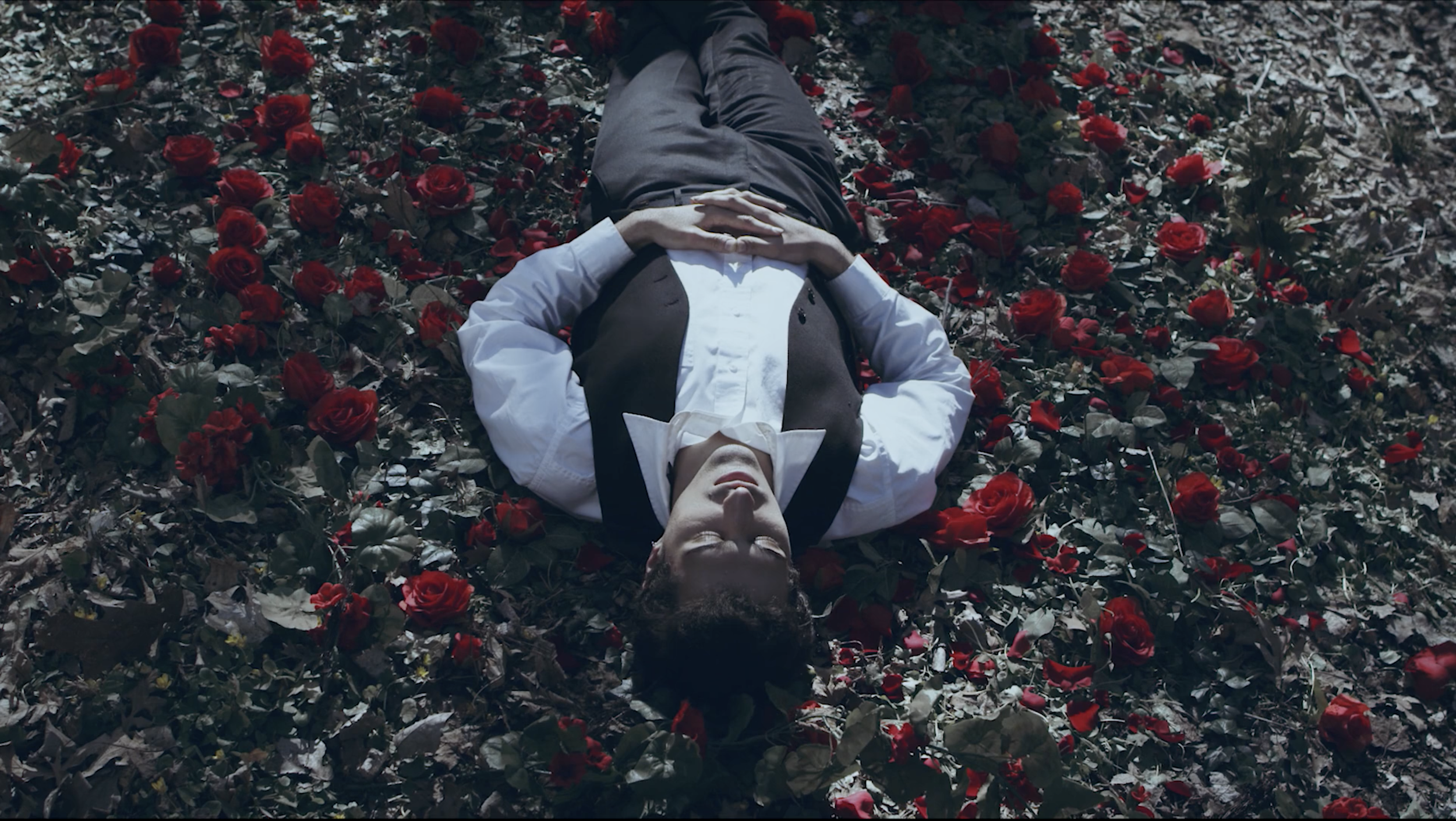 Screen Shot 2022-09-23 at 3.10.27 PM.png