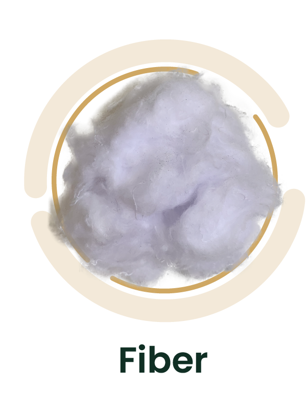 fiber.png