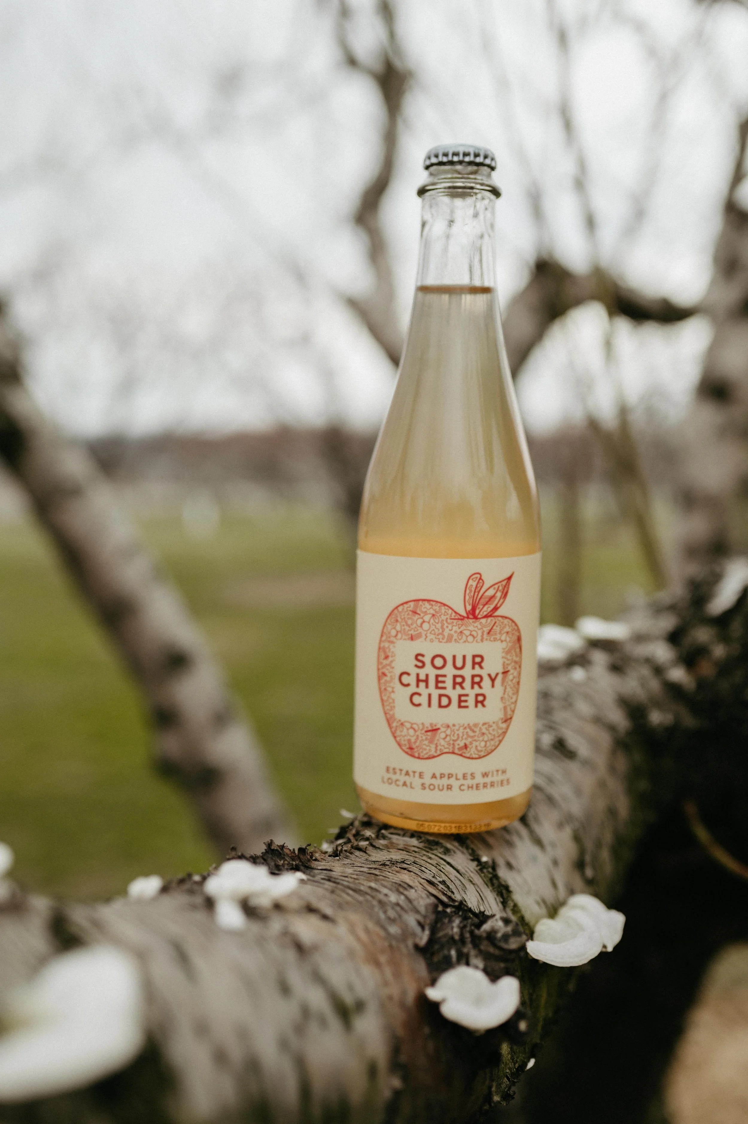 Brothers Ridge Cider