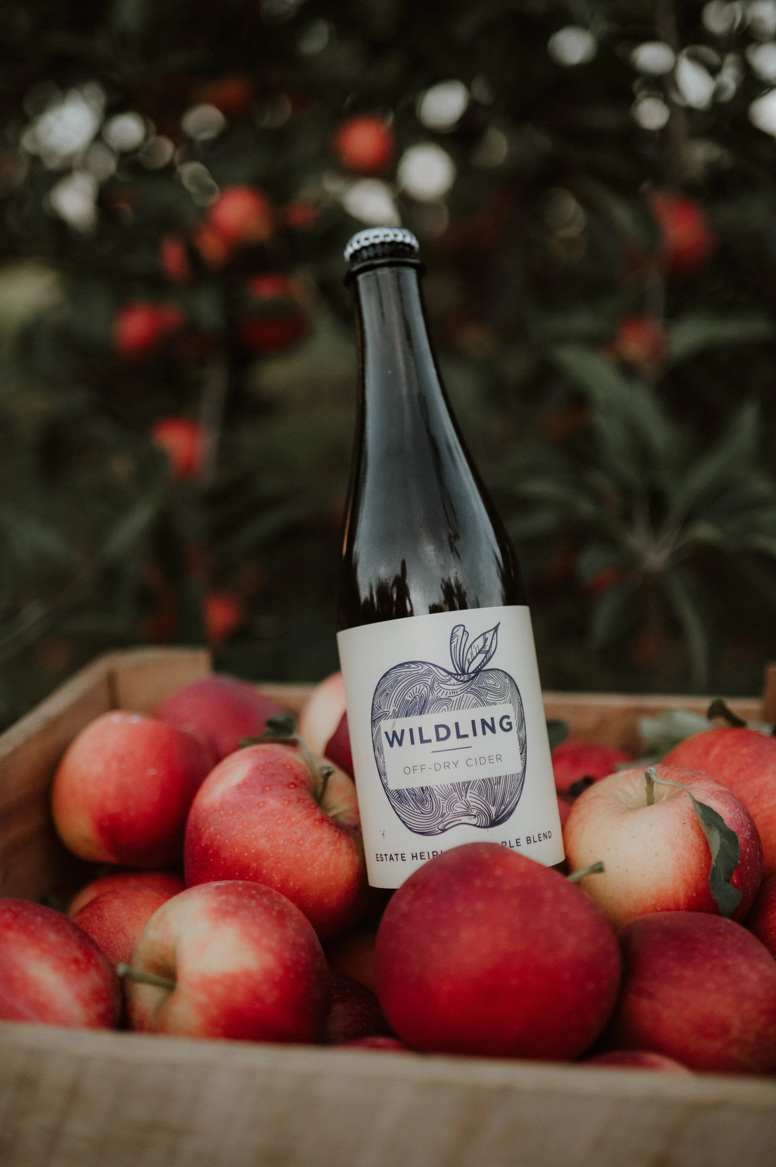 Ciders — Brothers Ridge Cider