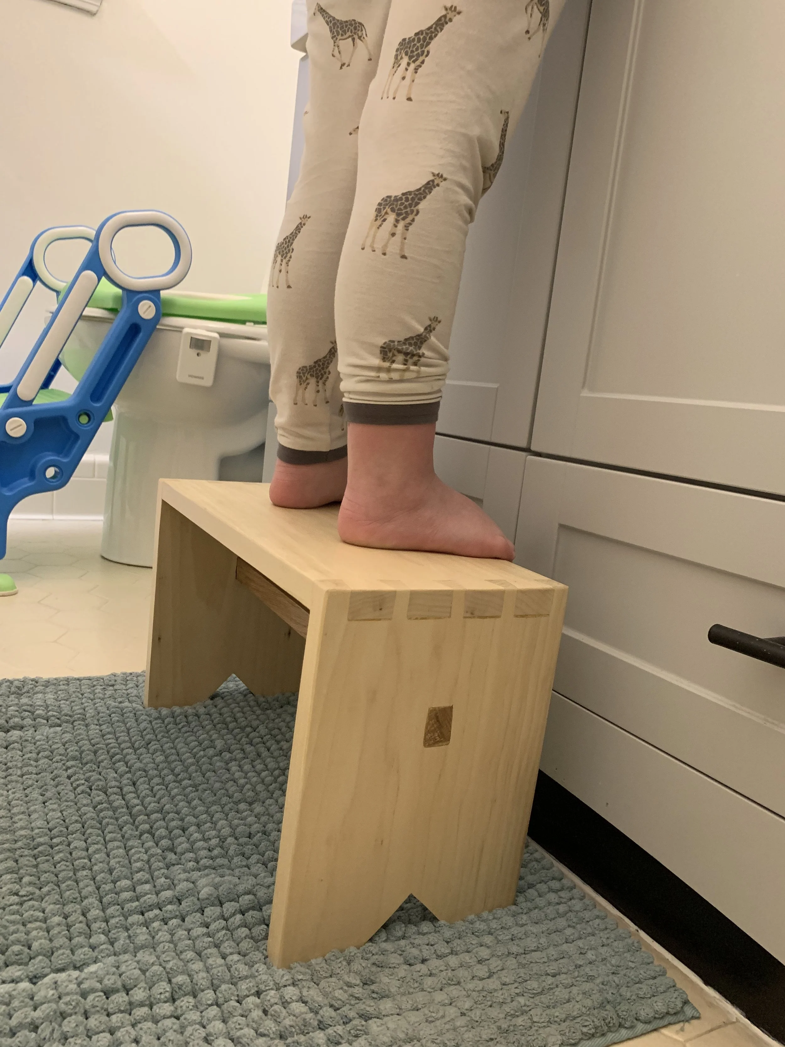 Step Stool Tyson 4.JPG