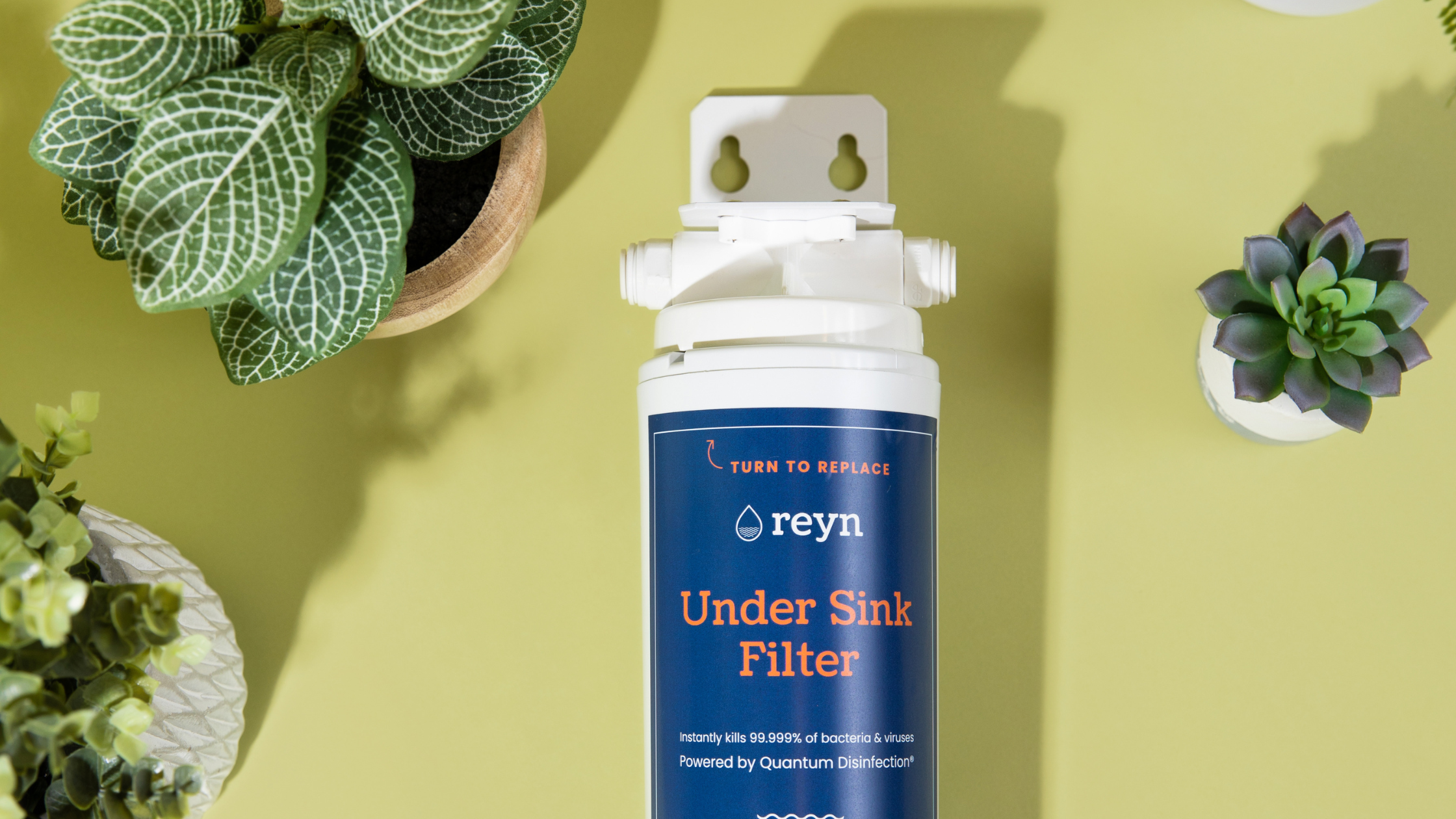 Reyn | Ern & Lu