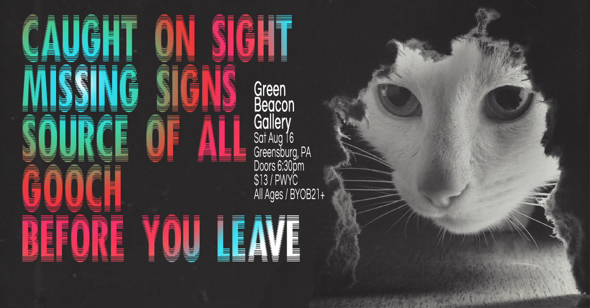 Caught On Sight, Missing Signs, Source Of All, Gooch & Before You Leave