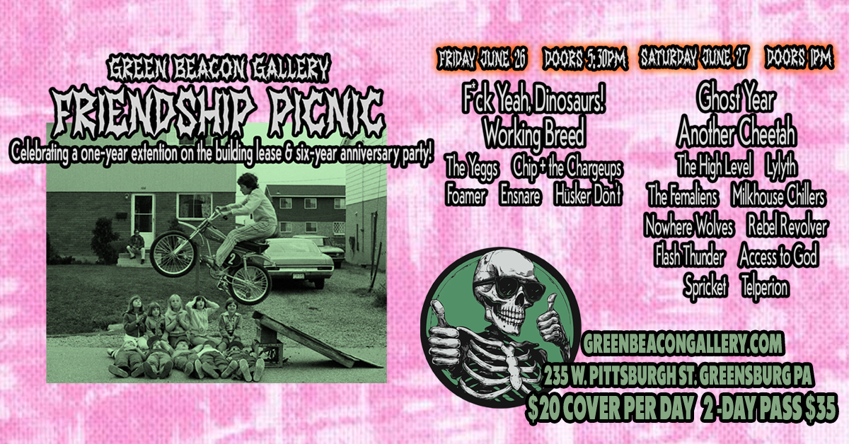 Friendship Picnic (20 bands!)