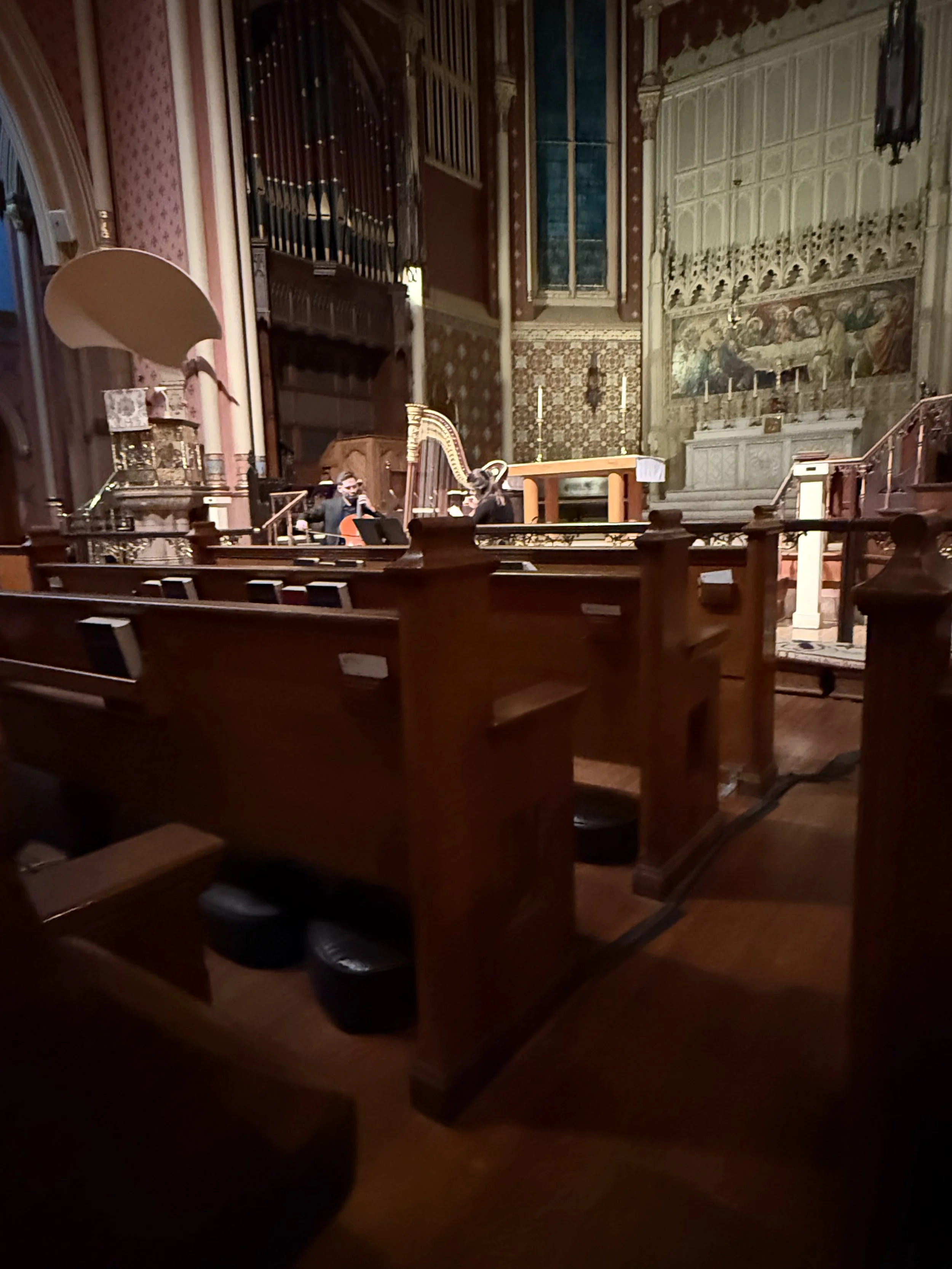 Inauguration Day 2025- a peaceful protest