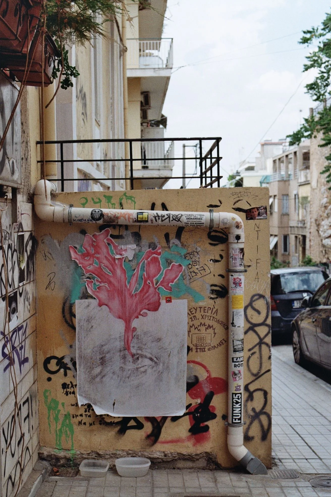 3fe1f011-fe76-4d0f-91be-d8f4657a6f3e.JPG