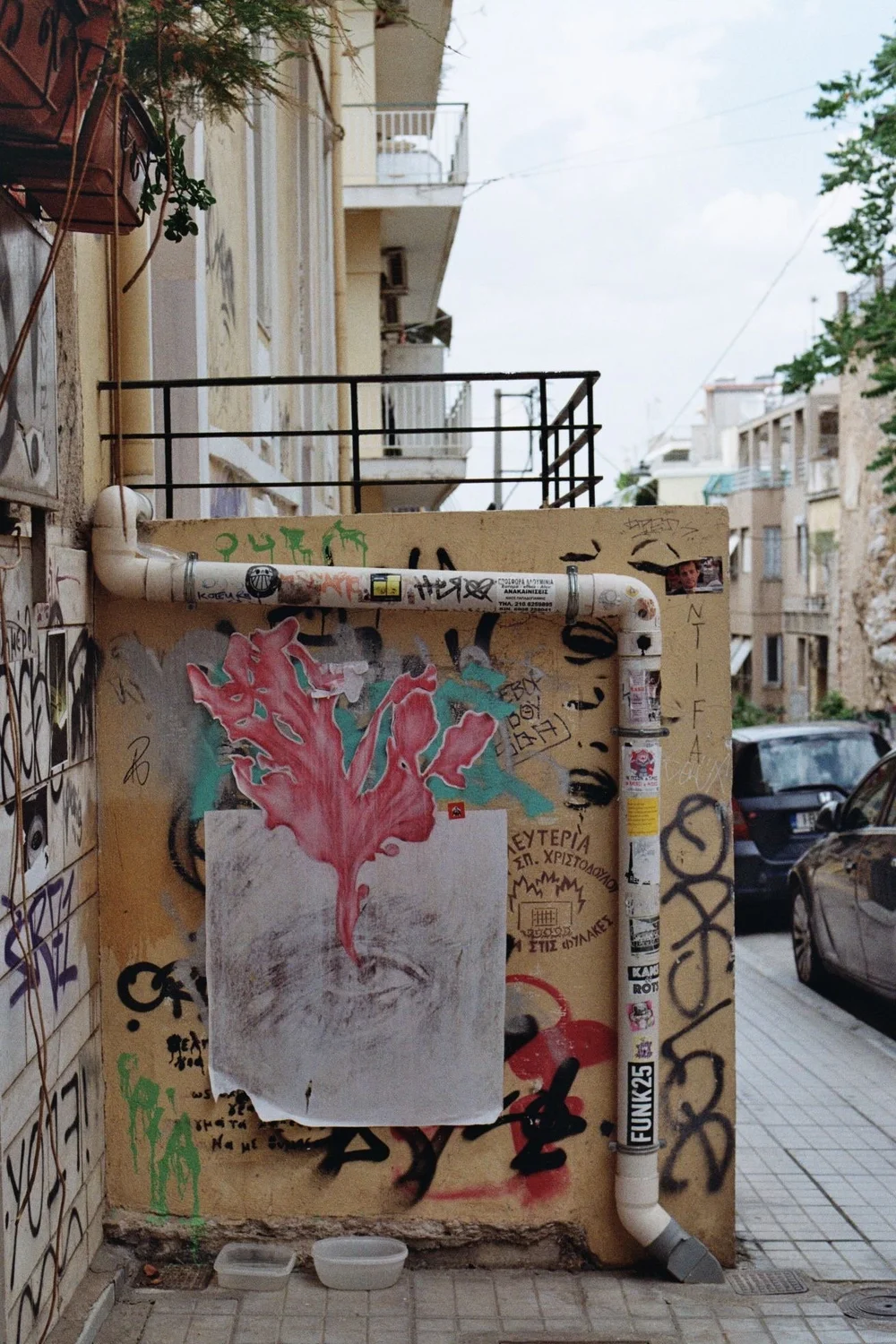 3fe1f011-fe76-4d0f-91be-d8f4657a6f3e.JPG