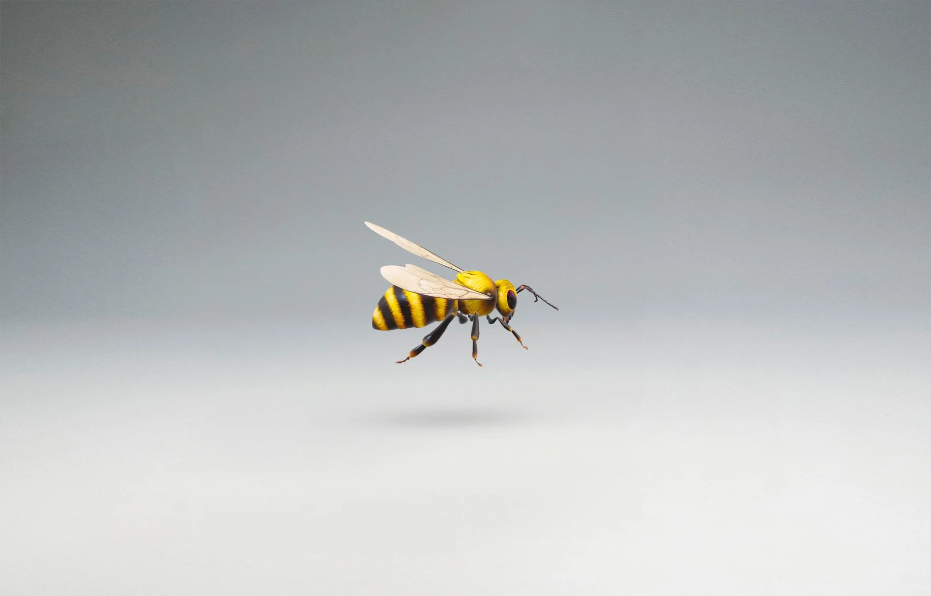 Gigi Totaro_090924_10.jpg