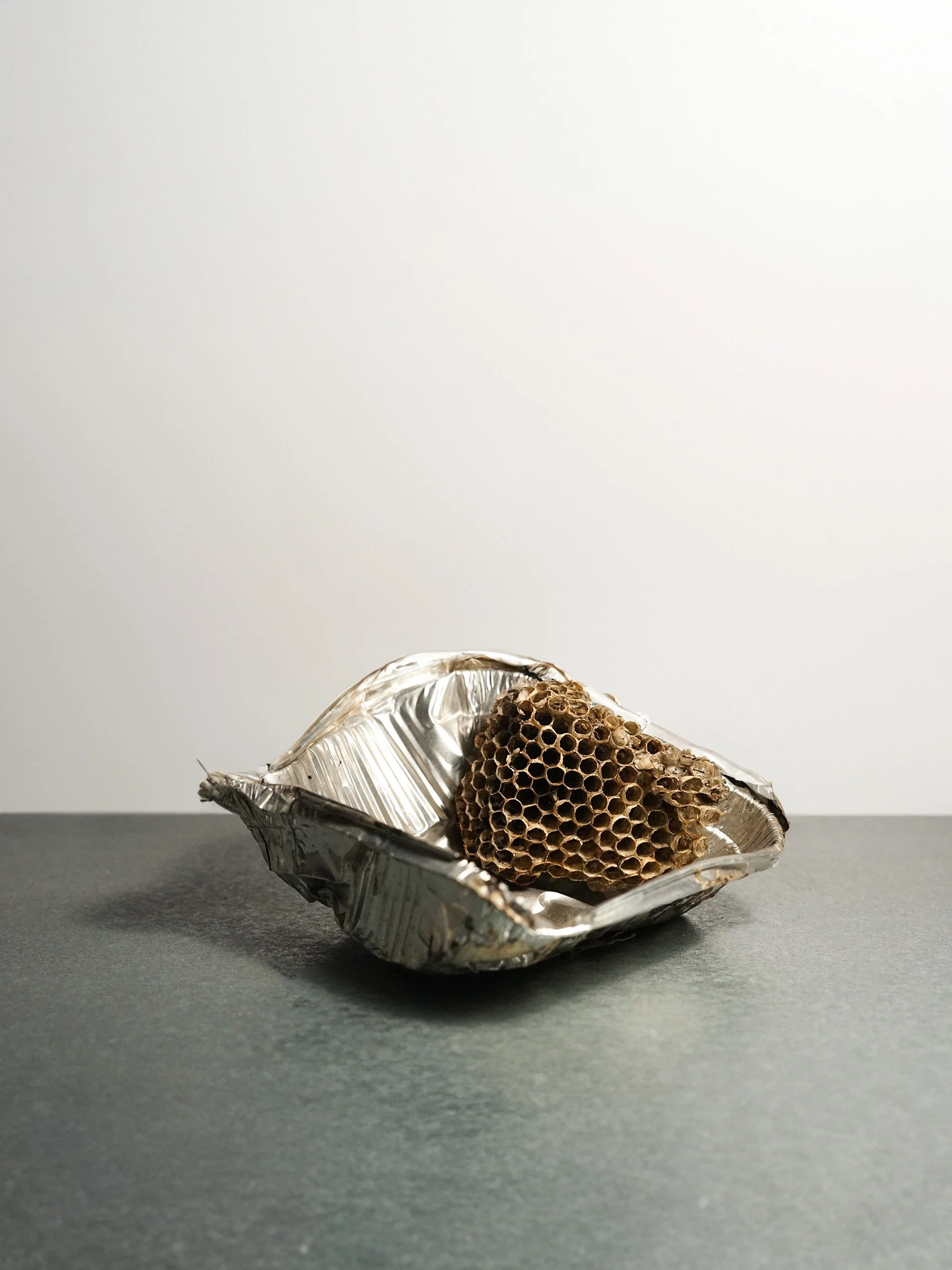 Gigi Totaro_Postnatural Remains_001.jpg