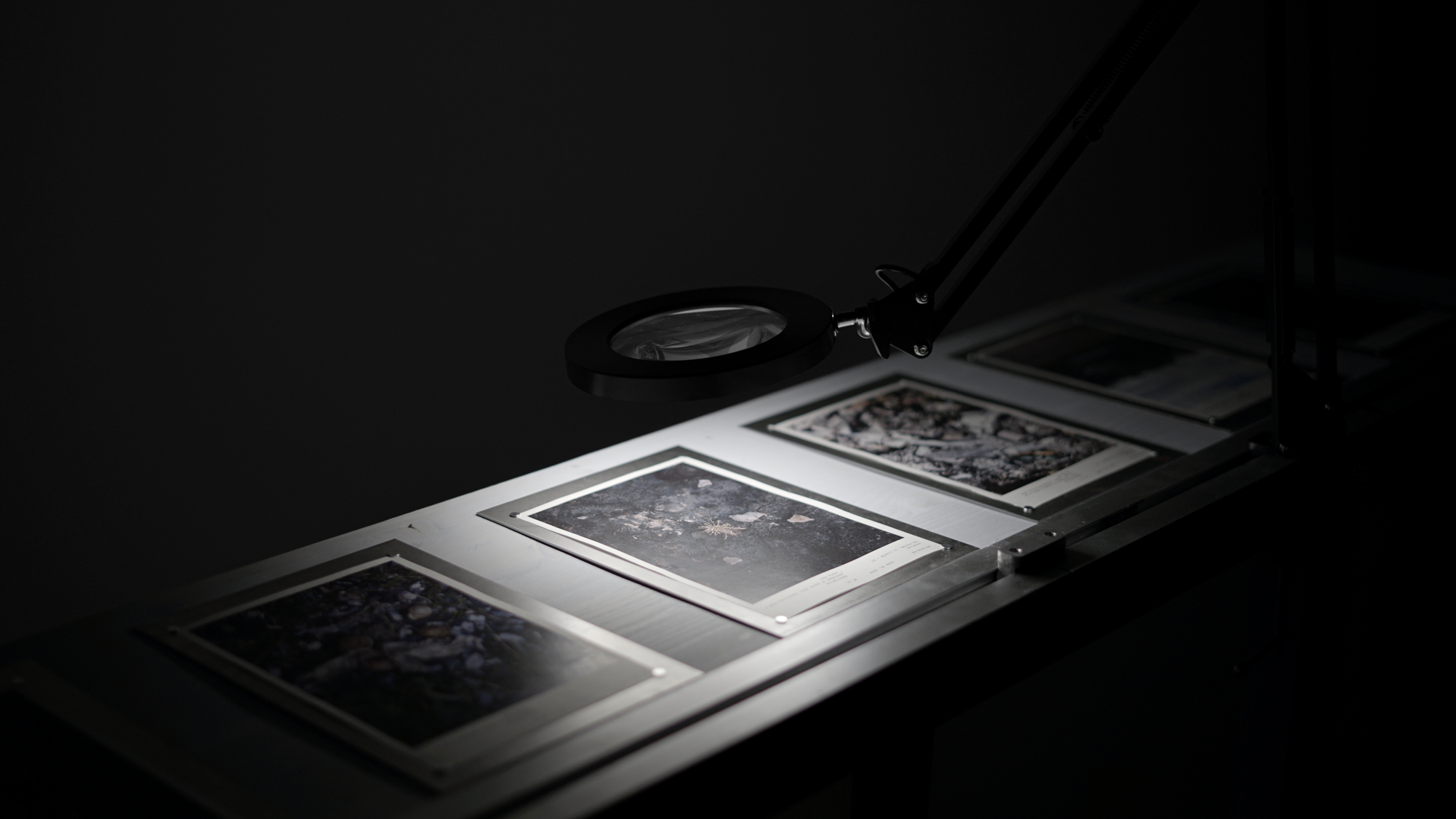 Gigi Totaro_Postnatural Remains_10.png